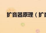 扩音器原理（扩音器的工作原理是什么）