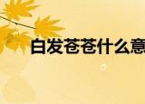 白发苍苍什么意思（白发苍苍的含义）