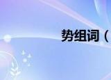 势组词（势组词有哪些）