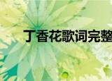 丁香花歌词完整版（丁香花歌词全文）