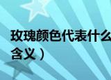 玫瑰颜色代表什么意思（各颜色玫瑰花代表的含义）