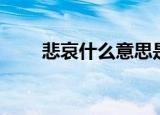 悲哀什么意思是什么（悲哀的含义）