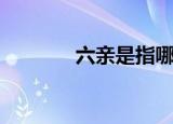 六亲是指哪六亲（六亲介绍）