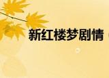 新红楼梦剧情（新红楼梦剧情简介）