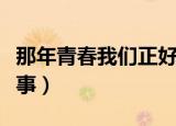 那年青春我们正好小说简介（主要写了什么故事）