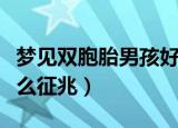 梦见双胞胎男孩好不好（梦见双胞胎男孩有什么征兆）