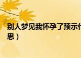 别人梦见我怀孕了预示什么（别人梦见我怀孕了代表什么意思）