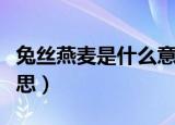 兔丝燕麦是什么意思（兔丝燕麦具体是什么意思）