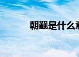 朝觐是什么意思（朝觐的解释）