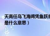 天高任鸟飞海阔凭鱼跃意思是什么（天高任鸟飞海阔凭鱼跃是什么意思）