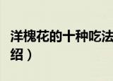 洋槐花的十种吃法（洋槐花的十种吃法简单介绍）