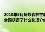 2019年9月蚂蚁森林在联合国获得了什么奖（蚂蚁森林在联合国获得了什么奖项介绍）