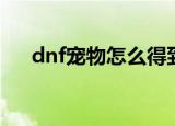 dnf宠物怎么得到（dnf宠物获取方法）