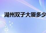 湖州双子大厦多少米（湖州双子大厦介绍）