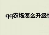 qq农场怎么升级快（qq农场如何升级快）