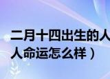 二月十四出生的人命运（农历二月十四出生的人命运怎么样）