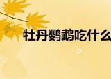 牡丹鹦鹉吃什么（牡丹鹦鹉吃的食物）