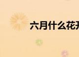 六月什么花开（六月开什么花）