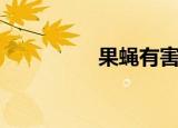 果蝇有害吗（果蝇简介）