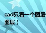 cad只看一个图层快捷键（CAD怎么只看特定图层）