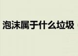 泡沫属于什么垃圾（泡沫属于什么垃圾分类）
