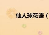 仙人球花语（仙人球花语是什么）