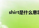 shirt是什么意思中文（shirt的意思）