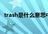 trash是什么意思中文（trash的中文解释）