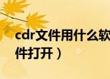 cdr文件用什么软件打开（cdr文件用哪个软件打开）