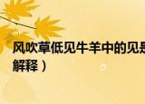 风吹草低见牛羊中的见是什么意思（风吹草低见牛羊中的见解释）