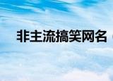 非主流搞笑网名（非主流搞笑网名精选）