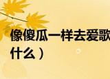 像傻瓜一样去爱歌词（像傻瓜一样去爱歌词是什么）