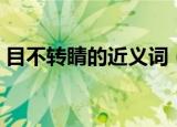 目不转睛的近义词（词语目不转睛的近义词）