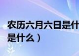 农历六月六日是什么日子（农历六月六日日子是什么）