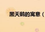 黑天鹅的寓意（黑天鹅的寓意是什么）