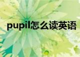 pupil怎么读英语（pupil英语读音是什么）