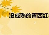  没成熟的青西红柿能吃吗 正确答案不能