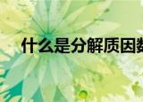 什么是分解质因数（分解质因数是什么）