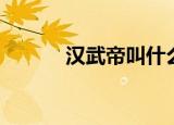 汉武帝叫什么（汉武帝叫刘彻）
