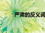 严肃的反义词（严肃是什么意思）