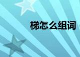 梯怎么组词（梯的组词有哪些）