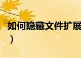 如何隐藏文件扩展名（隐藏文件扩展名的方法）