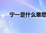 宁一是什么意思（宁一的意思是什么）