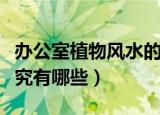 办公室植物风水的讲究（办公室植物风水的讲究有哪些）