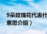 9朵玫瑰花代表什么意思（9朵玫瑰花代表的意思介绍）