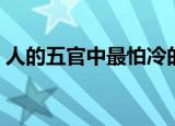 人的五官中最怕冷的是哪个（耳朵最怕寒冷）