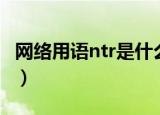 网络用语ntr是什么意思（网络用语ntr的含义）