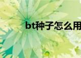 bt种子怎么用（bt种子怎么用呢）