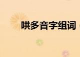 哄多音字组词（哄多音字组词意思）