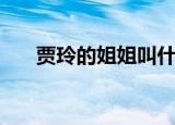 贾玲的姐姐叫什么（贾玲的姐姐是谁）